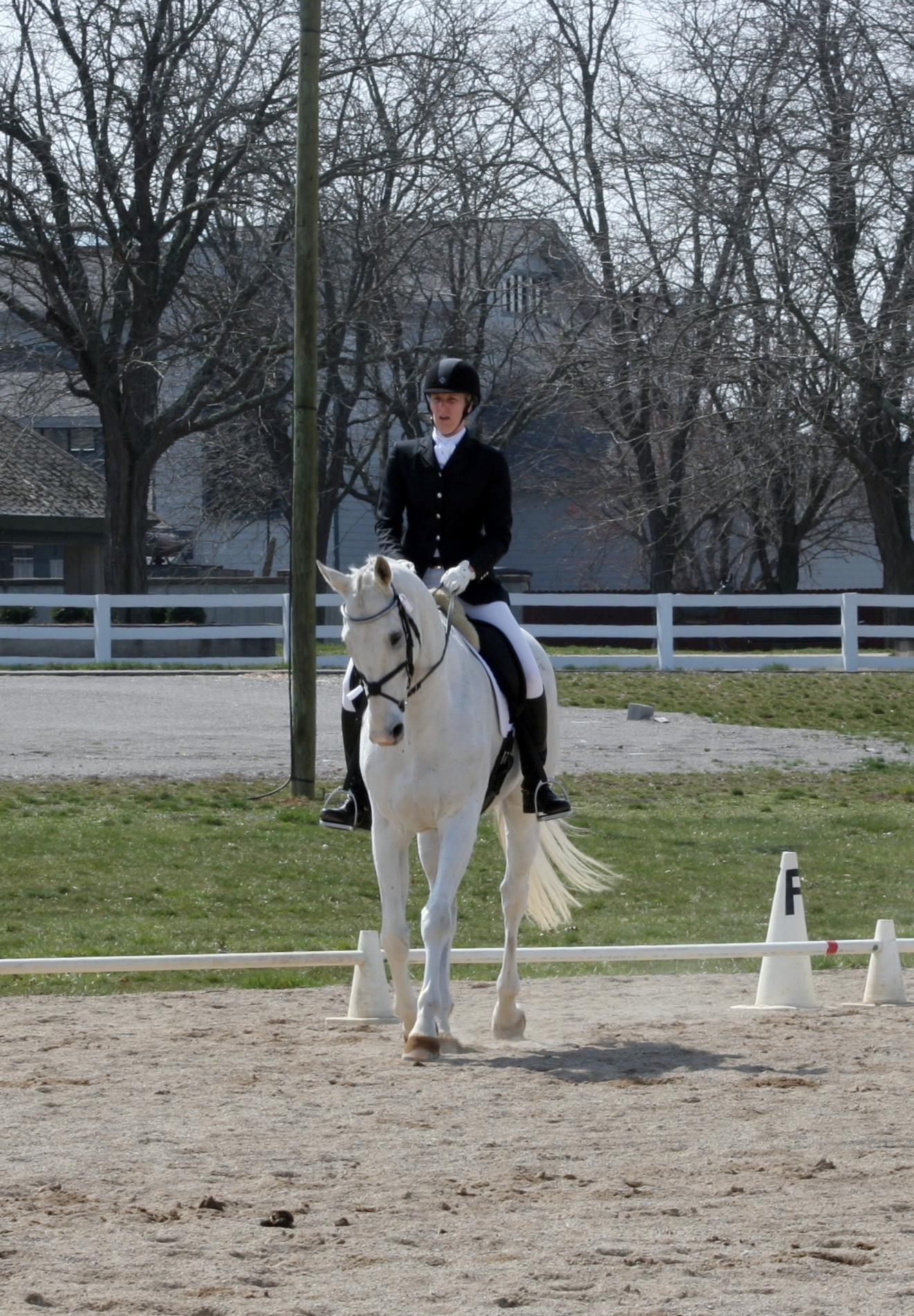 Thoroughbred Incentive Program, T.I.P., The Jockey Club, Aftercare, horse racing, America's Best Racing, ABR .